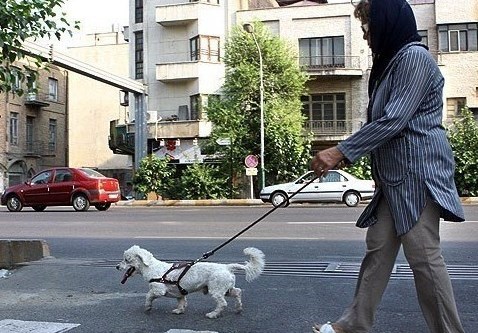 شورای شهر تهران , شهر تهران , شهرداری تهران , 