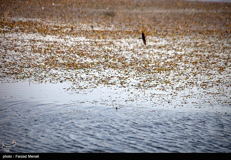 احیای منابع زیرزمینی آب ,