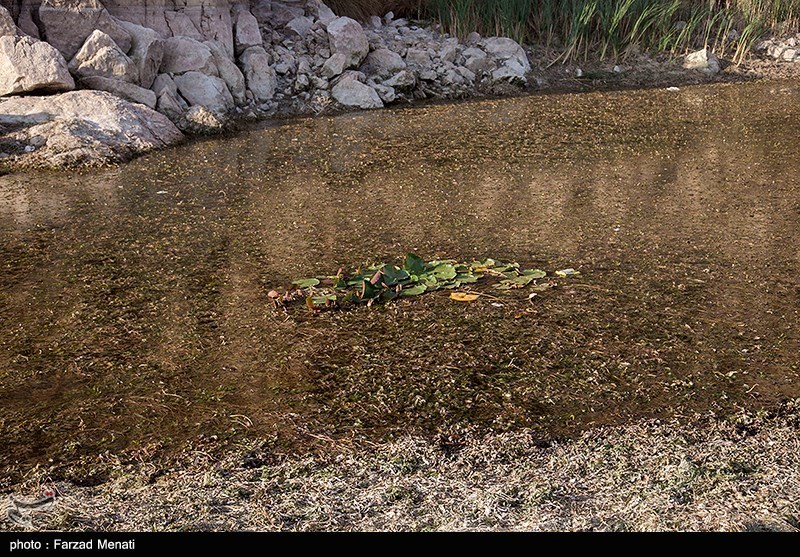 احیای منابع زیرزمینی آب ,