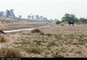 بحران آب در روستاهای شهرستان حمیدیه - خوزستان