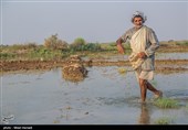 رسیدن آب به دحیماوی و رفیع - خوزستان