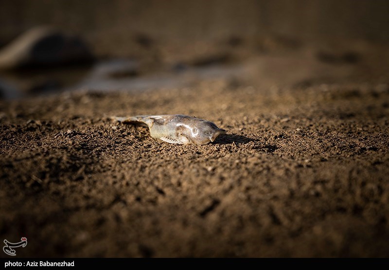 استان لرستان , بحران آب , بحران آب ایران , اخبار خشکسالی | خشکسالی ,