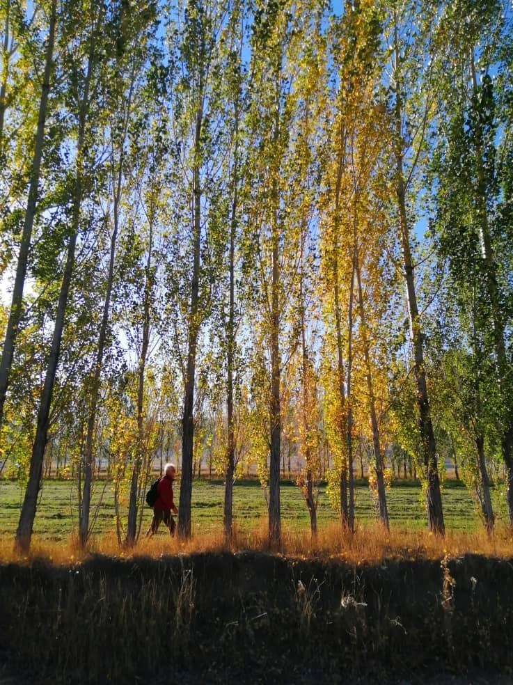 مستند , شبکه مستند , ایرانگردی | ایران گردی , 