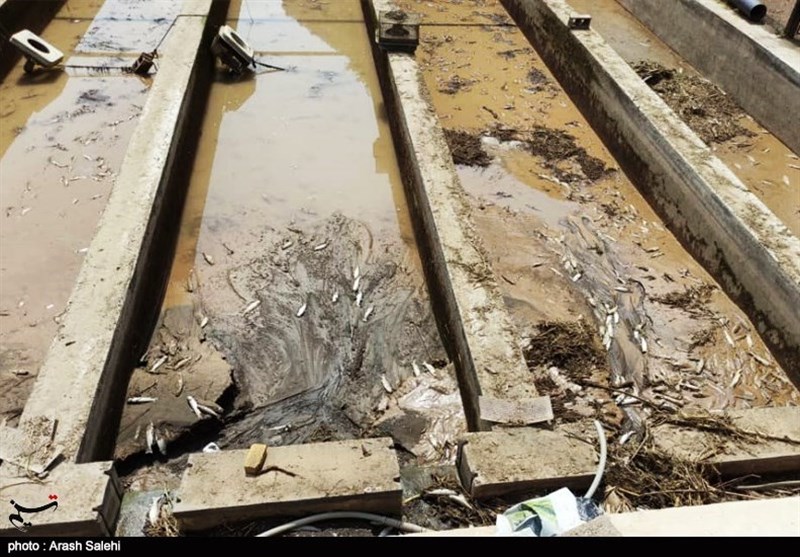 سیل , سیل زده , بسیج سازندگی , استانداری قزوین , 