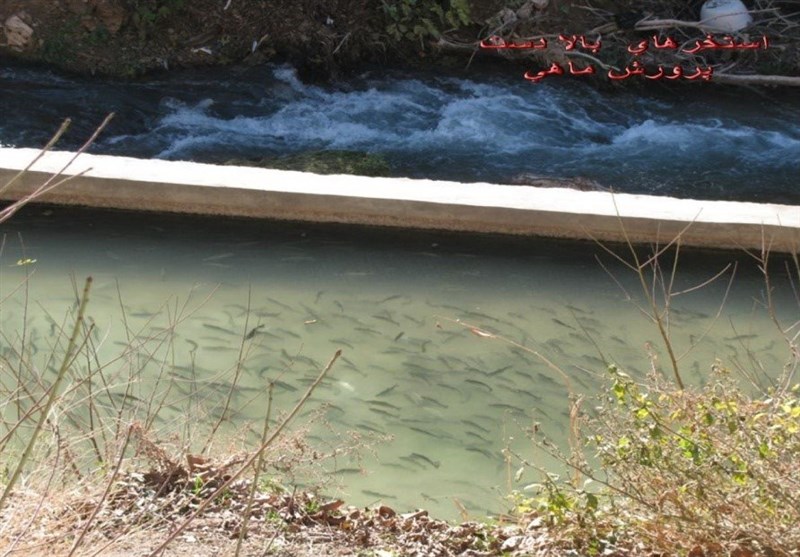 پایش و نظارت در محیط زیست , استانداری کرمانشاه , کشاورزی , دانشگاه های جمهوری اسلامی ایران , مرکز پژوهشهای مجلس شورای اسلامی ,