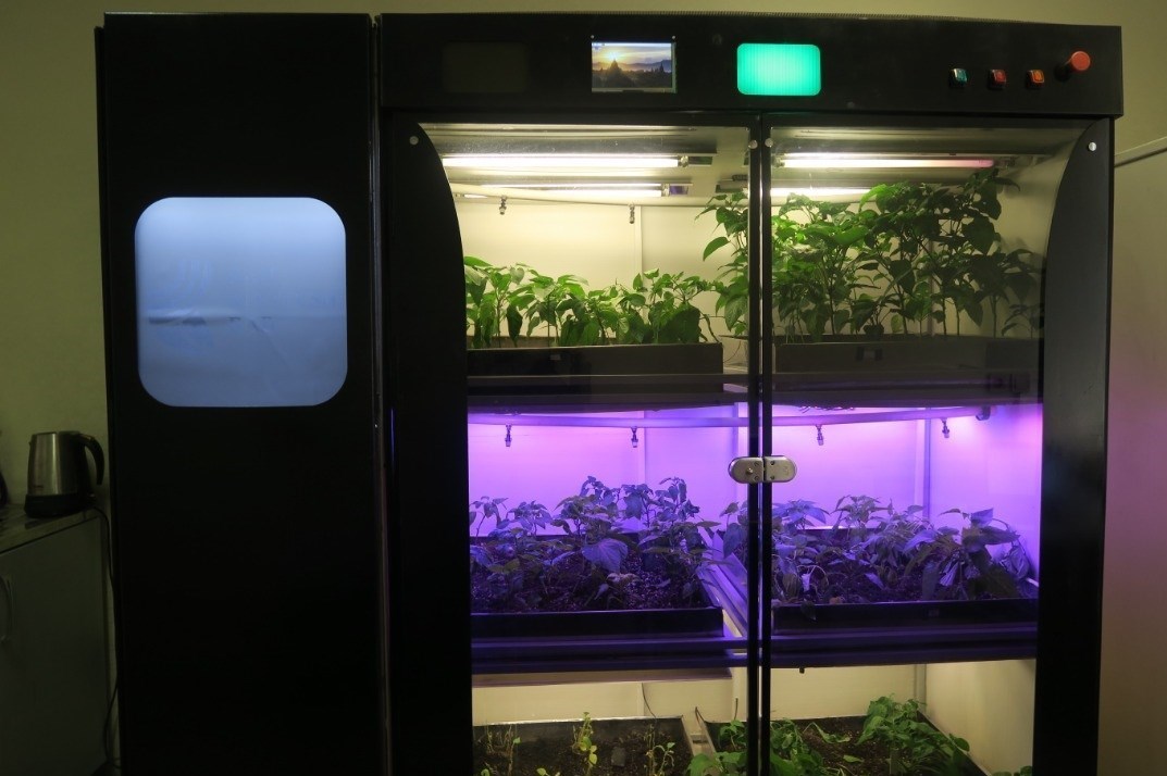 شرکت های دانش بنیان , اینترنت ,