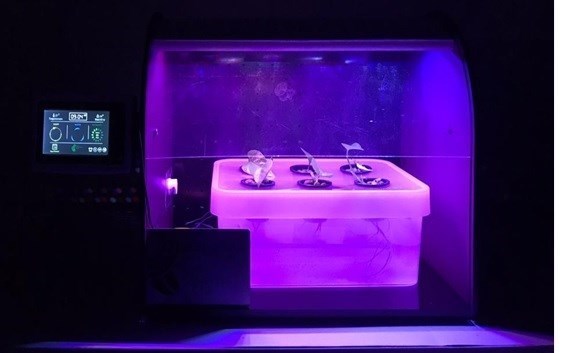 شرکت های دانش بنیان , اینترنت ,