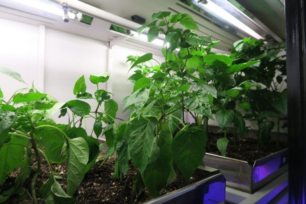 شرکت های دانش بنیان , اینترنت ,