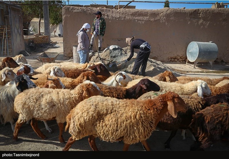 گروه‌های جهادی , زلزله , 