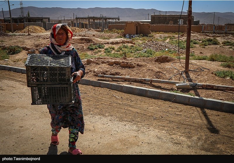 گروه‌های جهادی , زلزله , 