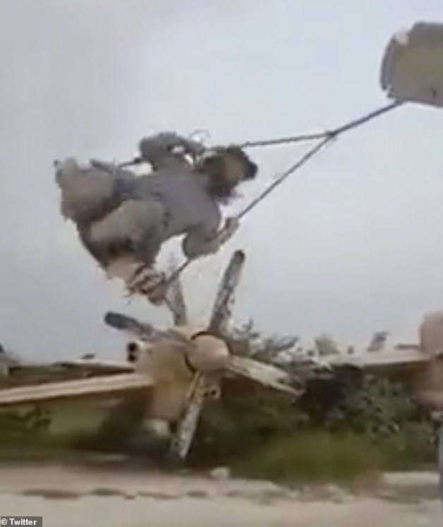 کشور افغانستان , طالبان , کشور آمریکا , 