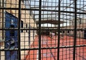 Rights Group Slams Israel’s Sexual Violence against Palestinian Prisoners, Demands Accountability