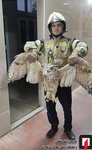 آتش‌نشانی , سازمان آتش‌نشانی تهران , حوادث , سازمان محیط زیست , 