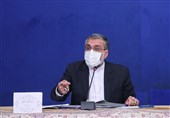 اسماعیلی: اجرای طرح پزشک خانواده و نظام ارجاع برای روستاییان تا پایان سال