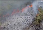 بخشی از پناهگاه حیات وحش میانکاله دچار حریق شد