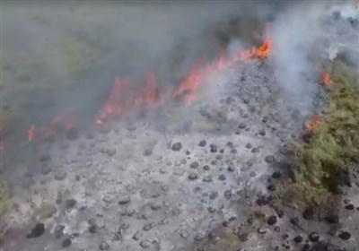 بخشی از پناهگاه حیات وحش میانکاله دچار حریق شد