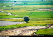 کشت بی رویه در زمین های حاشیه سد درودزن با توجه به تذکرات مکرر توسط اداره محیط زیست استان مبنی بر عدم کشت برنج در این منطقه 