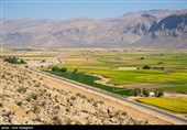 کشت بی رویه در زمین های حاشیه سد درودزن با توجه به تذکرات مکرر توسط اداره محیط زیست استان مبنی بر عدم کشت برنج در این منطقه 