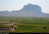 کشت بی رویه برنج با توجه به کم آبی و عدم توجه به تذکرات سازمان محیط زیست توسط مردم منطقه درودزن  