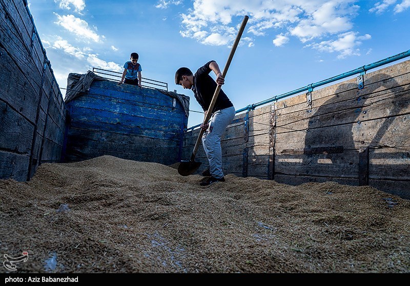 نظام مسائل استان مازندران , 
