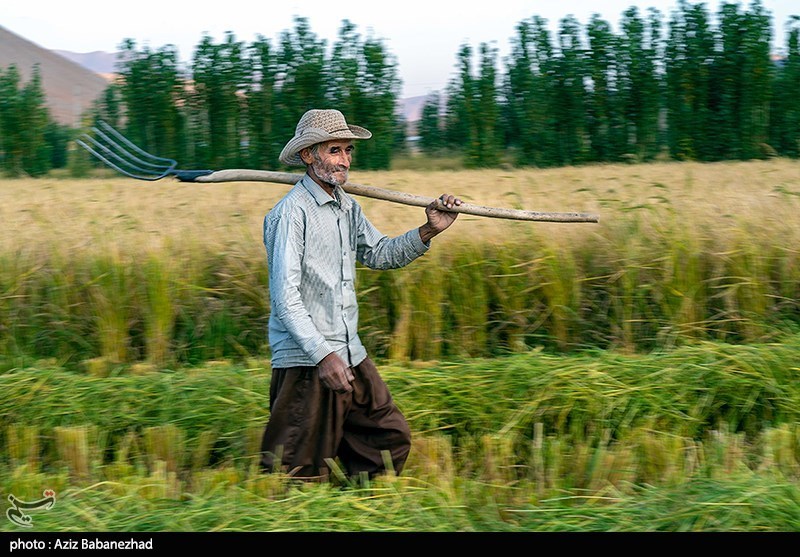 نظام مسائل استان مازندران , 