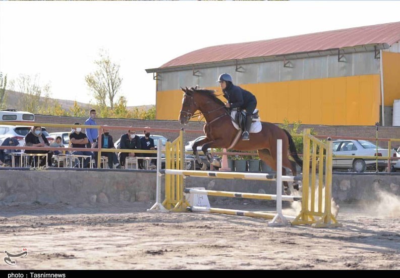 سوارکاری , اسباب بازی , پرورش اسب , آذربایجان شرقی , 