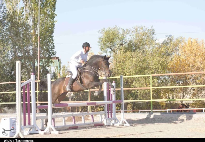 سوارکاری , اسباب بازی , پرورش اسب , آذربایجان شرقی , 