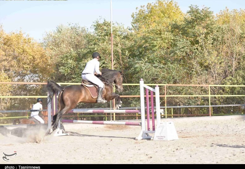 سوارکاری , اسباب بازی , پرورش اسب , آذربایجان شرقی , 