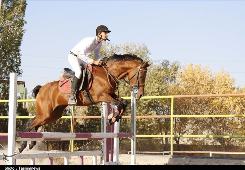 سوارکاری , اسباب بازی , پرورش اسب , آذربایجان شرقی , 