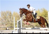 برگزاری مسابقات پرش با اسب استان آذربایجان شرقی به روایت تصویر