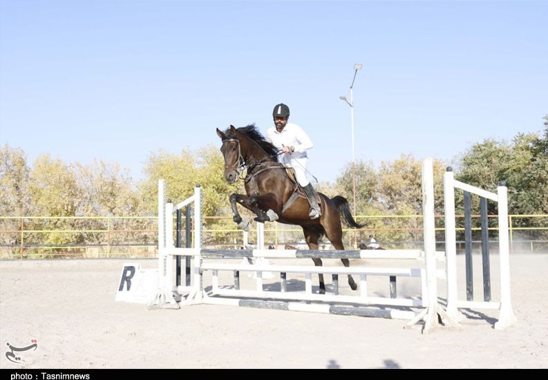 سوارکاری , اسباب بازی , پرورش اسب , آذربایجان شرقی , 