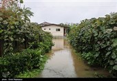 بارش های پاییزی و طغیان رودخانه در روستاهای رودسر گیلان