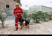 مانور پدافند غیر عامل در لامرد