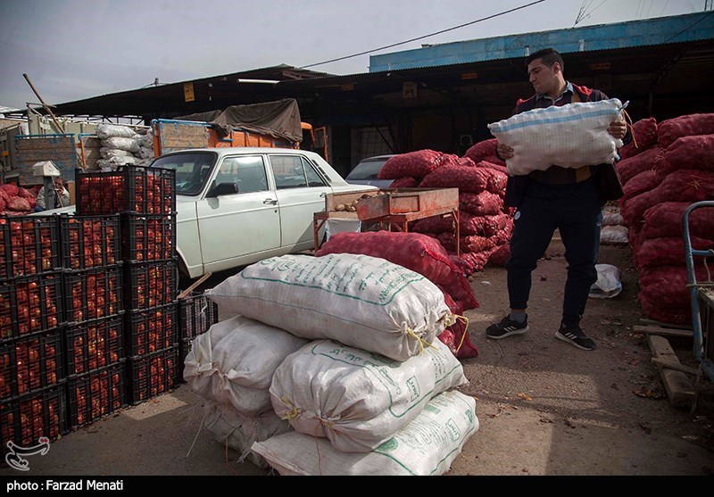 جودو ایران , جودو , 