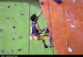 دارابیان و محمدی قهرمان مسابقات سنگنوردی جام فجر شدند