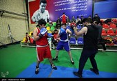 مسابقات انتخابی بوکس نونهالان استان همدان