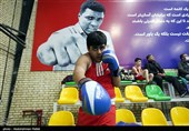 مسابقات انتخابی بوکس نونهالان استان همدان