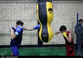 مسابقات انتخابی بوکس نونهالان استان همدان