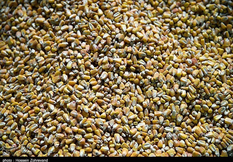 سازمان بنادر و دریانوردی , 