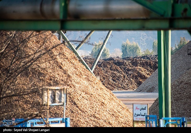 تولید کاغذ در ایران , بازار کاغذ , کاغذ ,