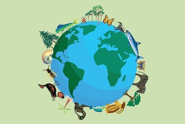 سازمان محیط زیست , پایش و نظارت در محیط زیست , بحران های محیط زیست , 