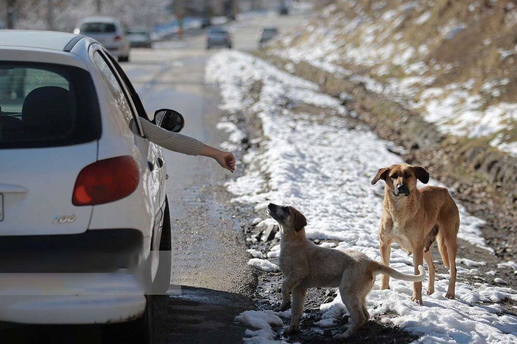 بحران های محیط زیست , 