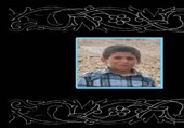 شهادت یک دانش‌آموز عشایر بر اثر برخورد با مین