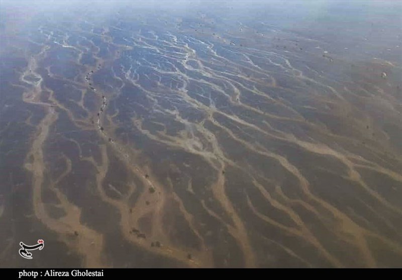 استان کرمان , سیل , سیل زده , 