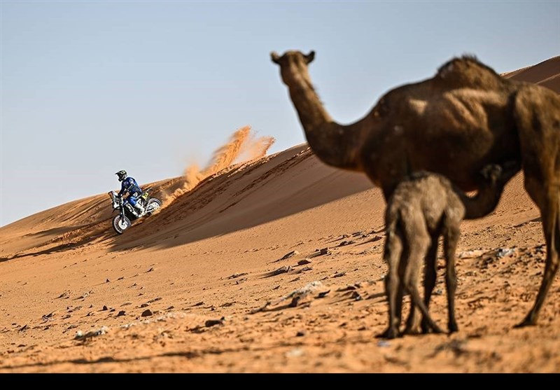 رالی داکار , 