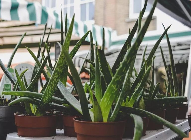 آلودگی هوا ,