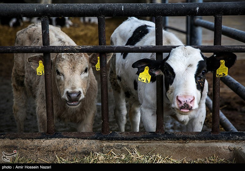 استان لرستان , کشاورزی , 