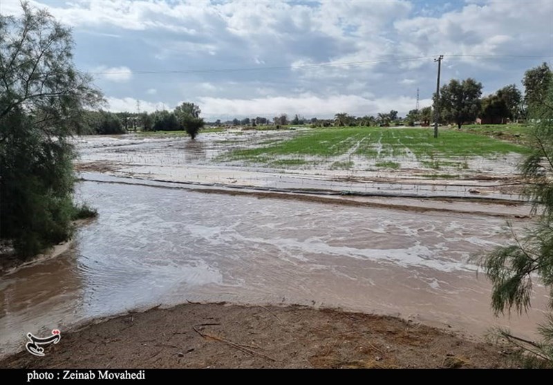 استان کرمان , سیل , سیل زده , 