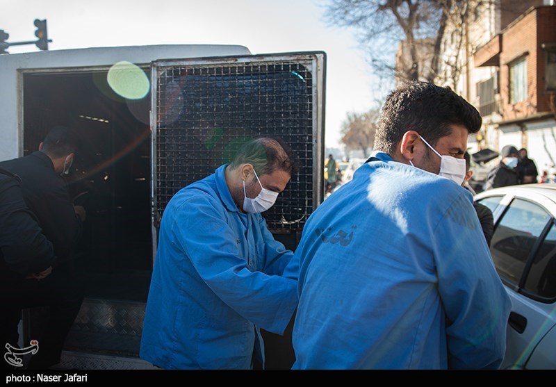 بازداشت اوباش کری‌خوان توسط پلیس امنیت تهران