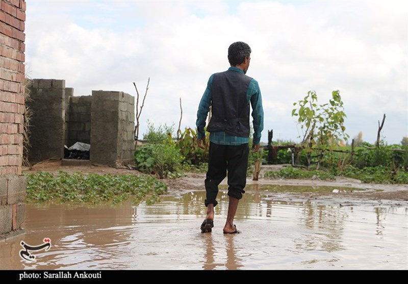 استان کرمان , سیل , سیل زده , 